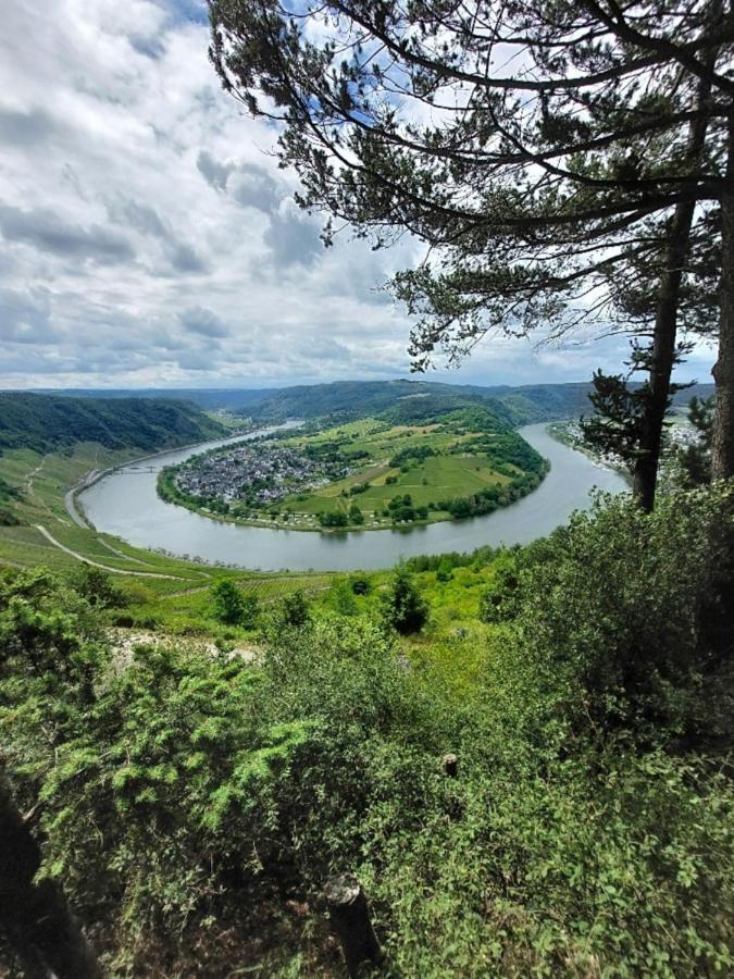 Tintemann Apartment Traben-Trarbach